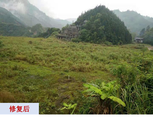 主題教育進(jìn)行時(shí) | “學(xué)思想、強(qiáng)黨性、重實(shí)踐、建新功”有研故事系列展播（十一）打造重金屬污染治理和生態(tài)環(huán)保的有研力量