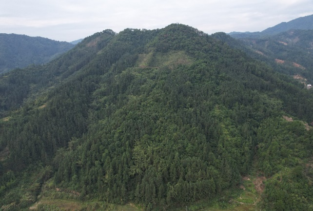 中國有研：深入踐行習近平生態(tài)文明思想，扎實開展主題教育助推美麗中國建設(shè)