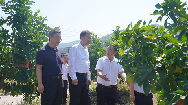 中國有研黨委書記、董事長趙曉晨赴貴州思南調(diào)研集團(tuán)定點(diǎn)幫扶工作